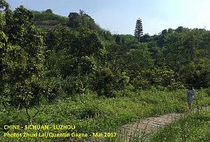 Luzhou 180